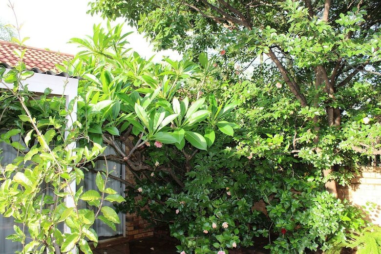 Hotel Ukarimu Guest House