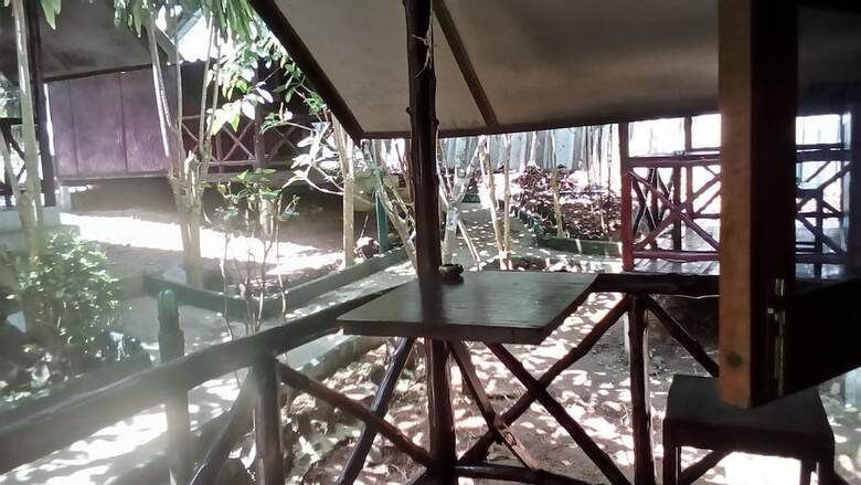 Hotel The Grand Tree Resort
