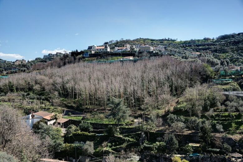 Agroturismo Agriturismo Oleum