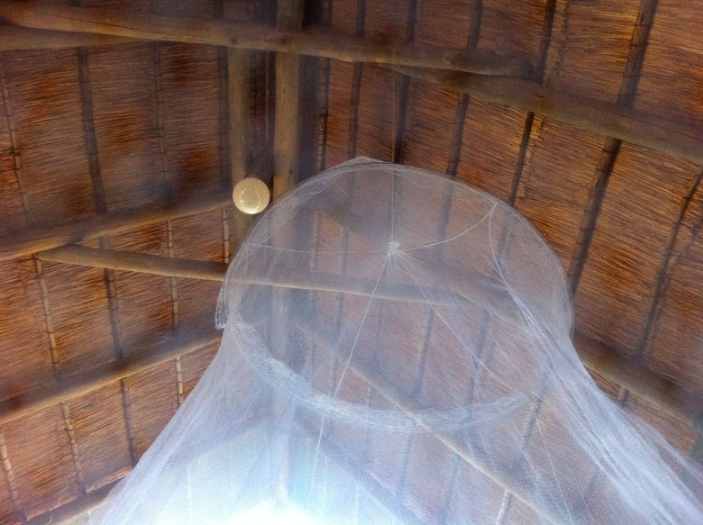 Posada Lion Roars Lodge