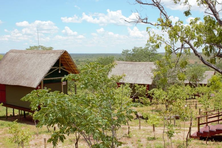 Posada Lion Roars Lodge