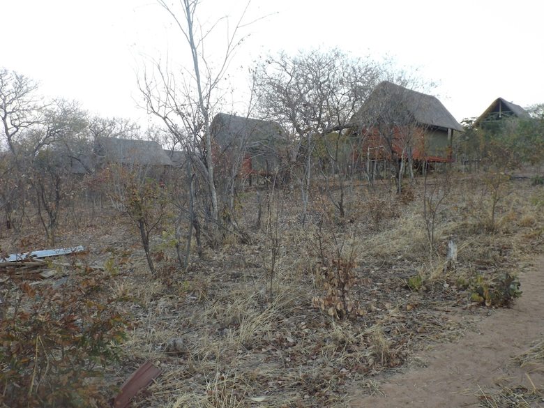 Posada Lion Roars Lodge