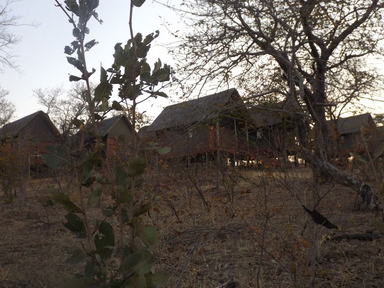 Posada Lion Roars Lodge