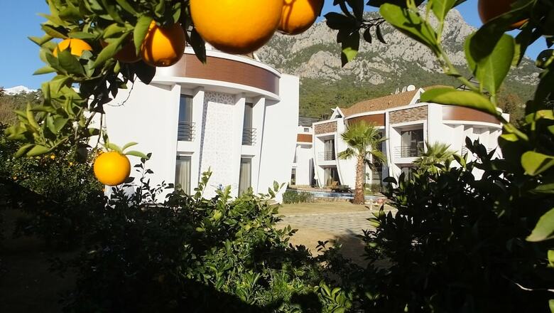 Apartamento Han-de Homes