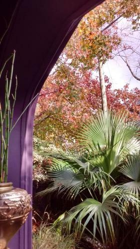 Bed & Breakfast La Casona De Grace