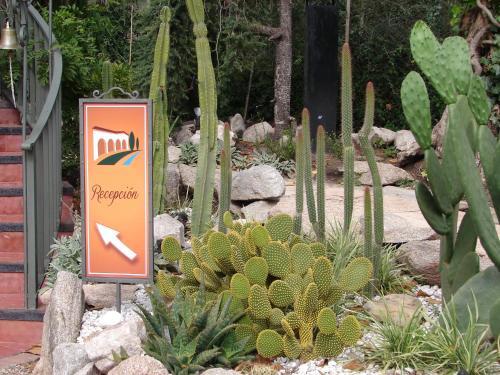 Hotel Posada Summit Suites