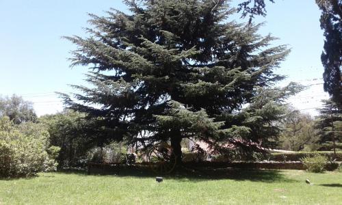 Hotel Posada Summit Suites