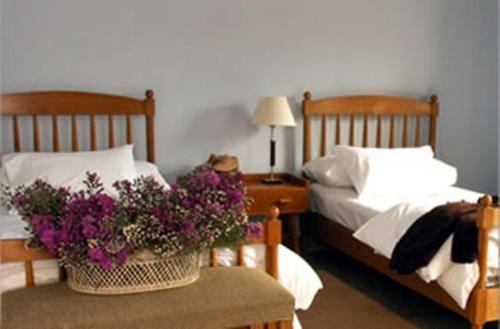 Hotel El Castillo De Mandl