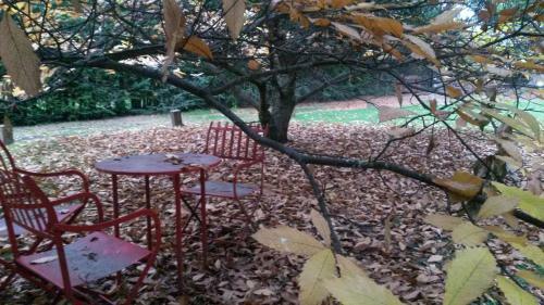 Lodge Caba�a Cumelen