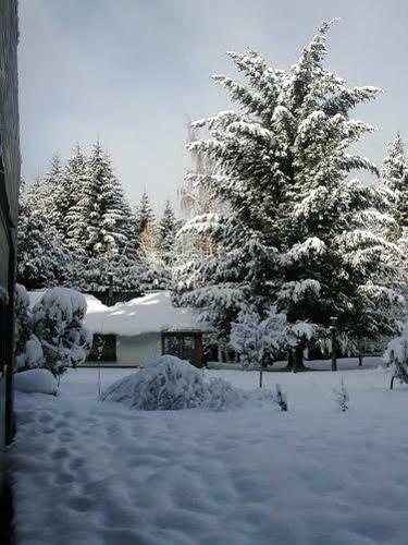 Lodge Caba�a Cumelen