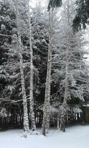 Lodge Caba�a Cumelen