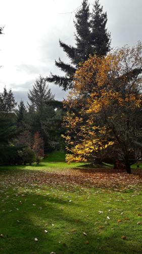Lodge Caba�a Cumelen