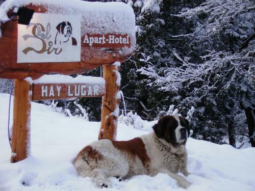 Hostal Apart Hotel Del Sir
