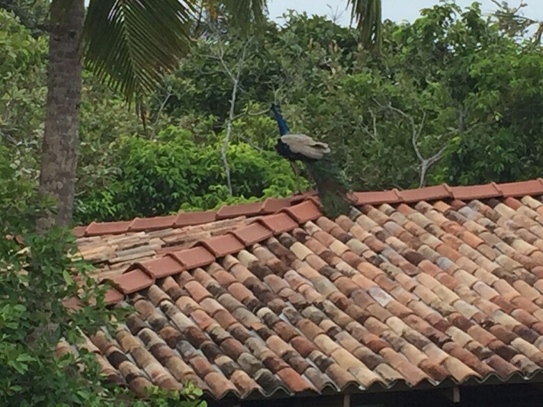 Hotel Lanka Eco Village