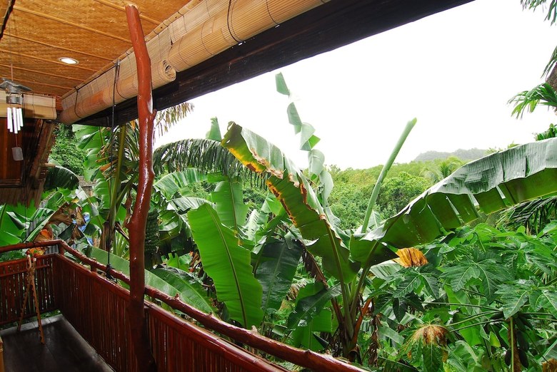 Hotel Palau Plantation Resort