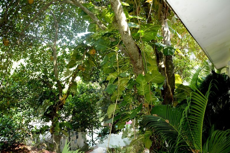 Hotel Tropical Hill Kep