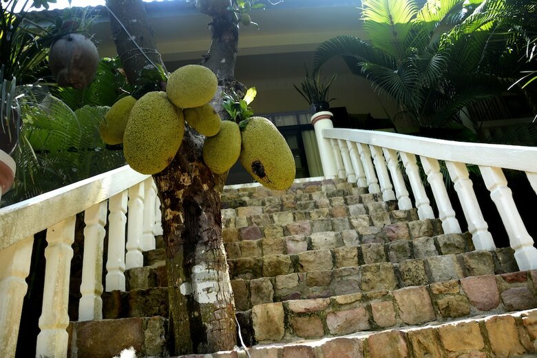 Hotel Tropical Hill Kep