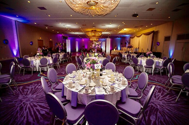 Hotel Holiday Inn Rochester Downtown