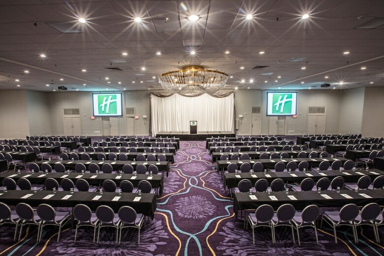 Hotel Holiday Inn Rochester Downtown