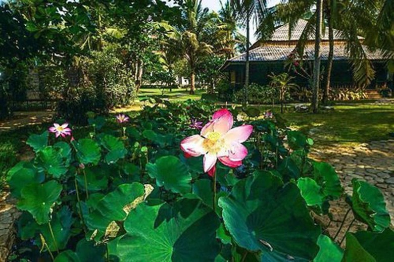 Apartamento Sunny Paradise Resort