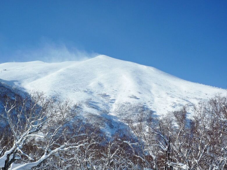 Niseko Park Hotel