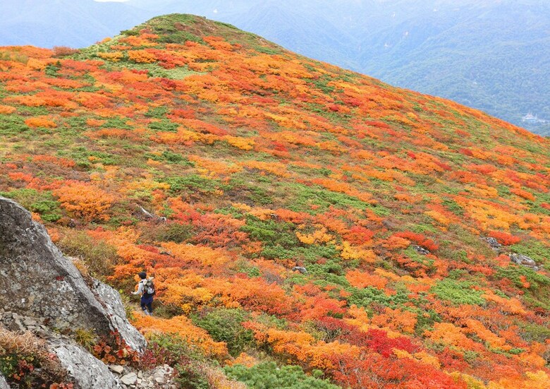 Hotel Appi Hills Shirakaba No Mori