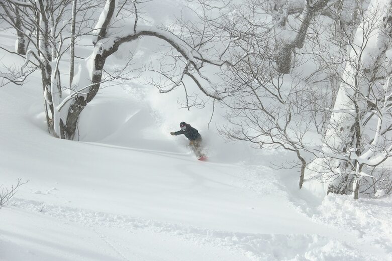 Hotel Appi Hills Shirakaba No Mori