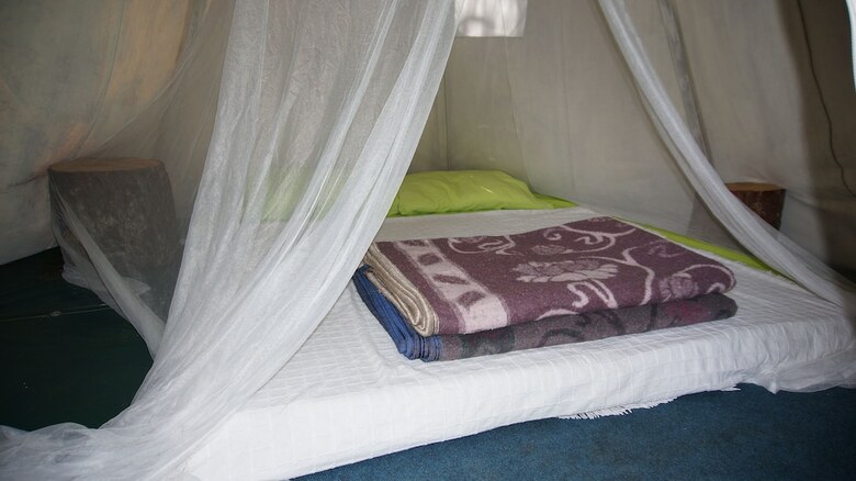 Shiva Camp
