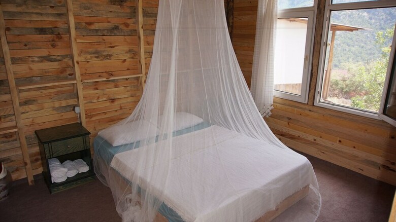 Shiva Camp