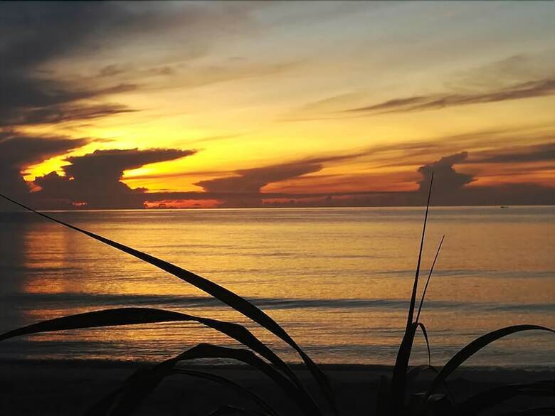 Hotel Bamboo Resort