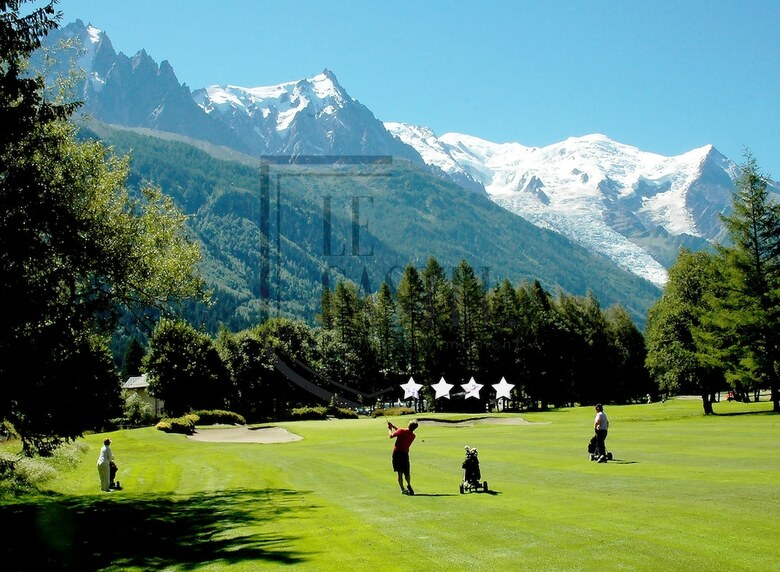 Chalet Hotel Le Castel