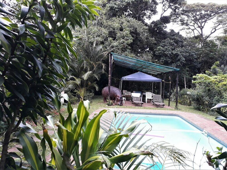 Apartamentos St Lucia Wilds