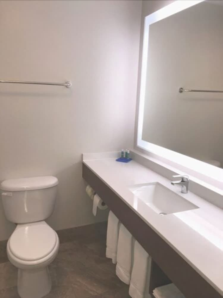 Hotel Holiday Inn Express Venice
