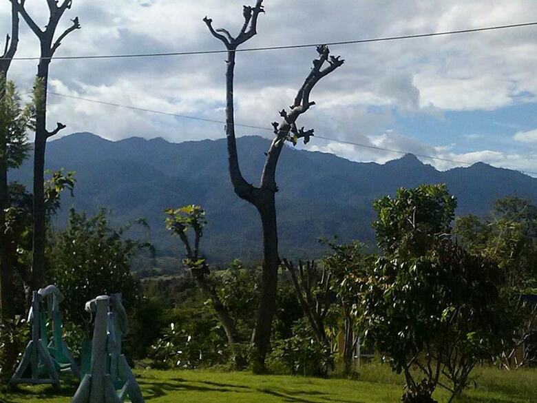 Hotel Tewdoi Garden Resort