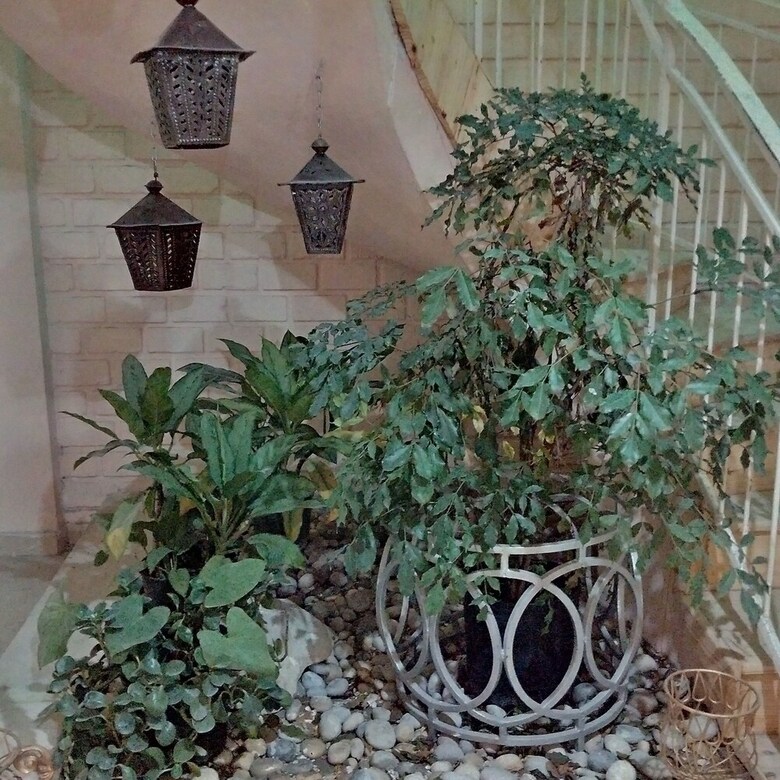 Apartamentos Gabrielle?s