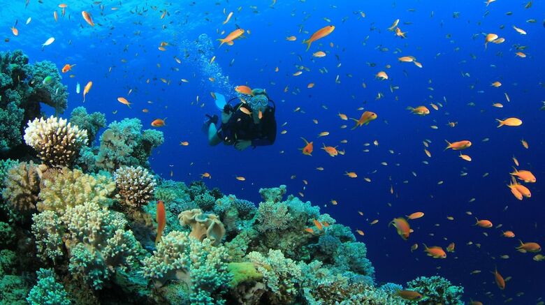 Hotel Equa Reef Maldives