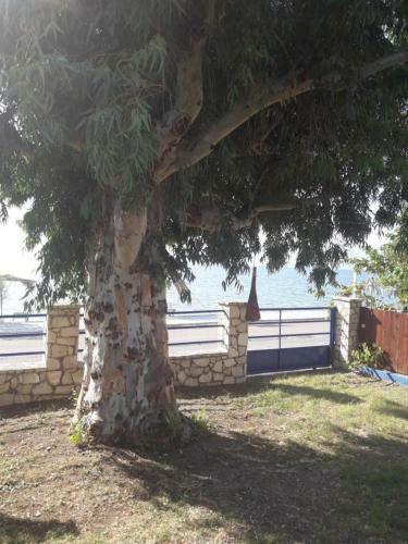 Apartamentos Holiday Tolofona