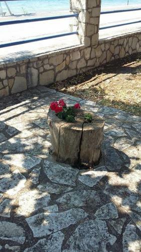 Apartamentos Holiday Tolofona