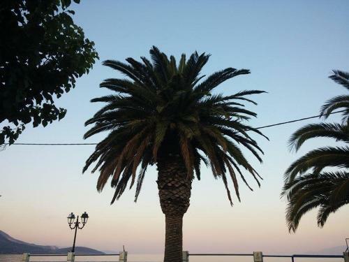 Apartamentos Holiday Tolofona