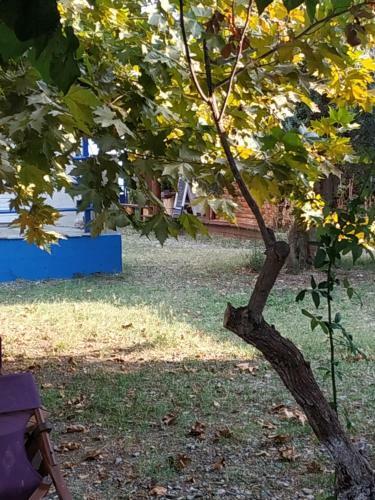 Apartamentos Holiday Tolofona