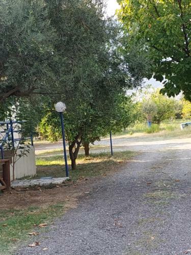 Apartamentos Holiday Tolofona