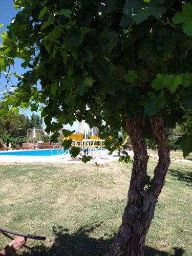 Hotel Ca�on De Talampaya