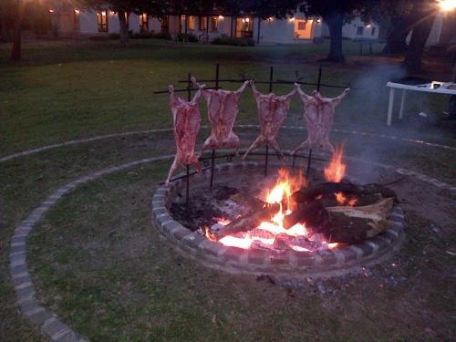 Camino Real Plaza Hotel