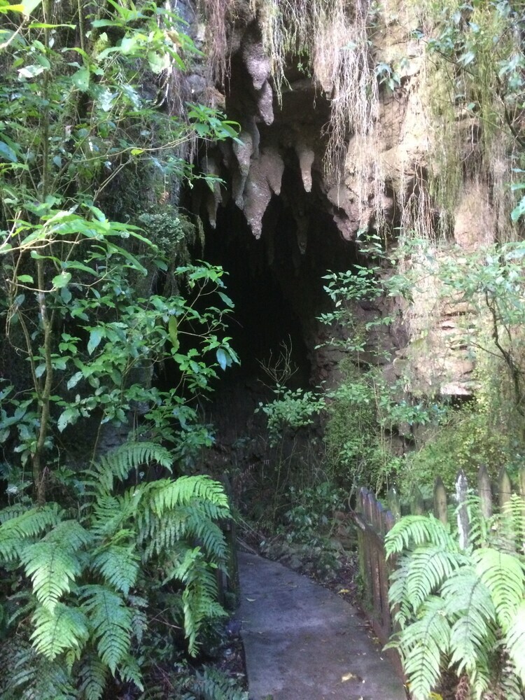 Hotel Waitomo Caves Guest Lodge
