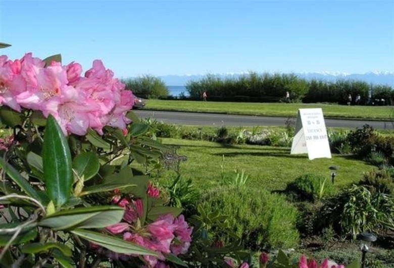 Dashwood Manor Seaside Bed & Breakfast