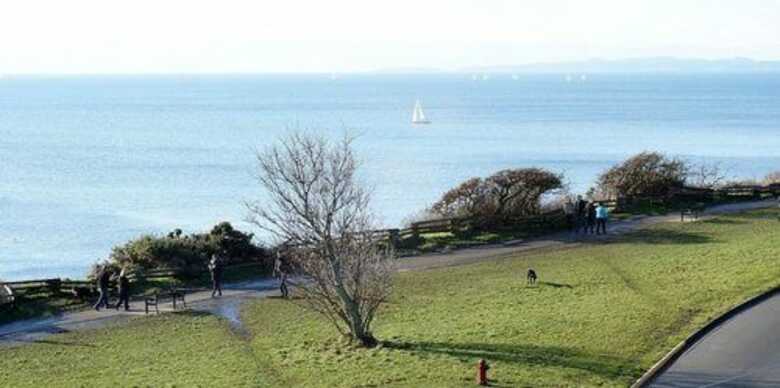 Dashwood Manor Seaside Bed & Breakfast