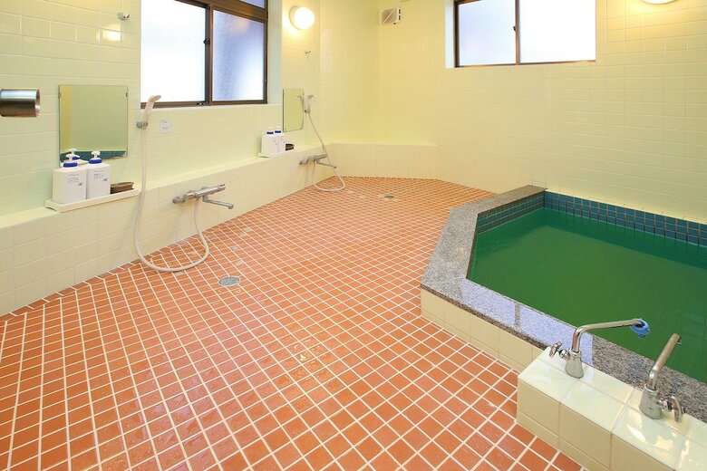 Hotel Wafu Pension Miyazawa