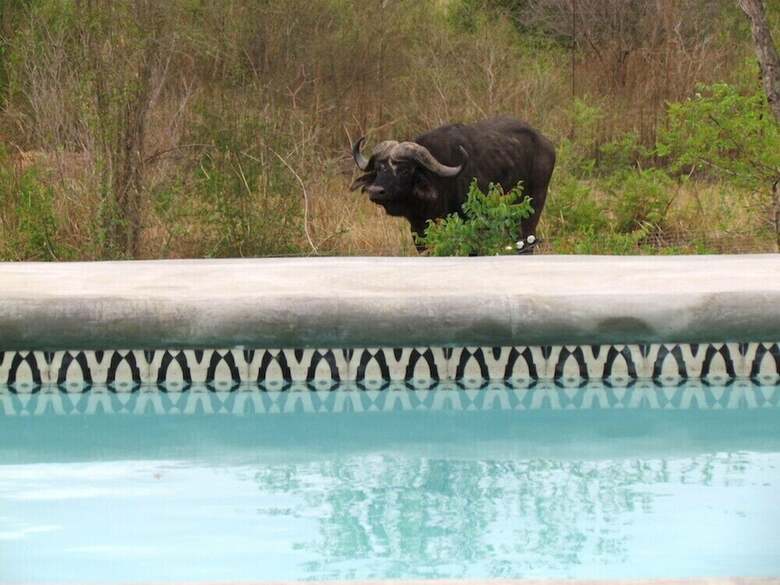 Posada Lodge 23 Elephant Point