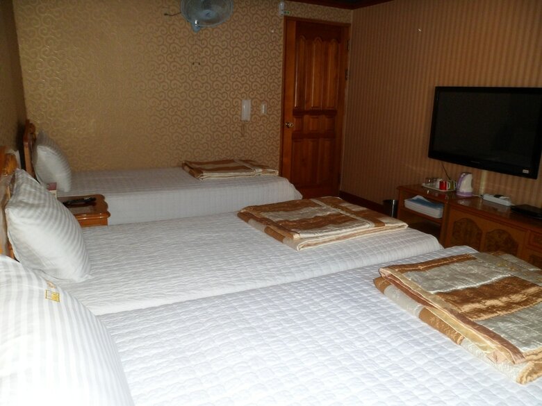 Hotel Alps Motel