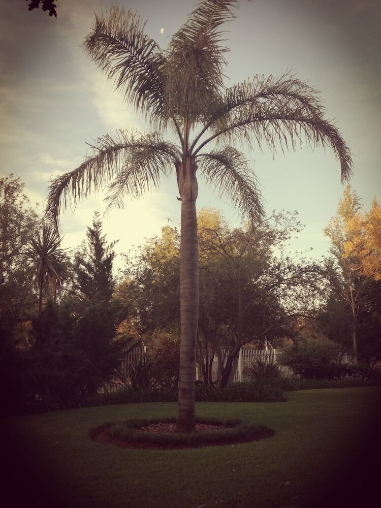 Hotel Bayswater Lodge